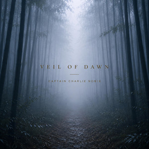 Veil of Dawn by Captain Charlie Nobis