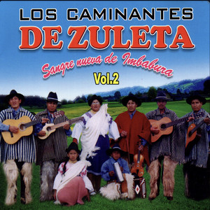 Los Caminantes De Zuleta - Letras de Oro