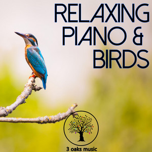 3oaksmusic - Relaxing Piano and Birds