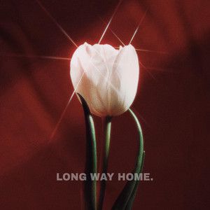 LONG WAY HOME. by Quintin Trotter