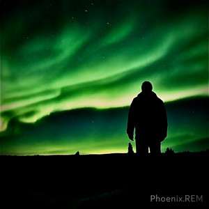 Heart Without a Beat by Phoenix.REM