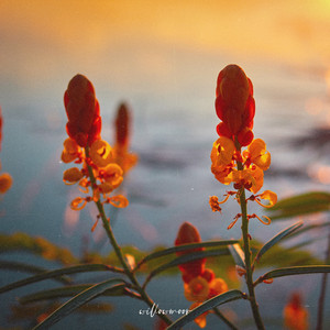 Warm Touch by willowmoor