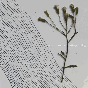You Learned from the Best by BRDN