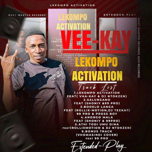 Bodelo Langa by VEEKAY RSA, DJ TEEKAT, Rollixmotion, 99Pro, Pross Boy