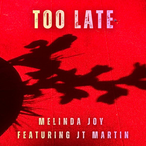 Too Late by Melinda Joy, JT Martin