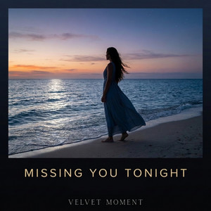 Missing You Tonight by Joice Dias, Velvet Moment