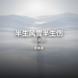 半生风雪半生伤 (沧桑版) by 王林成