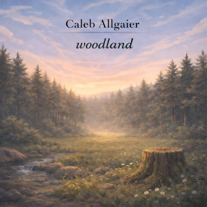 woodland by Caleb Allgaier
