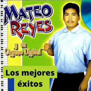 Mateo Reyes Y Su Organo Digital - Chilena 5