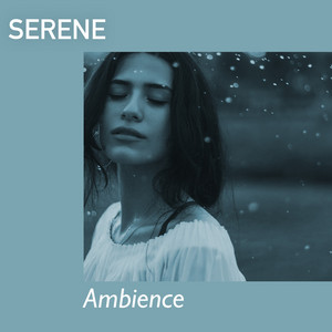# 1 Album: Serene Ambience album