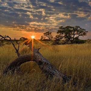 Cal J Vinka - Chants of Fire