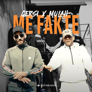 ME Fakte