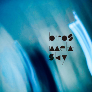 echoes by birds melt sky