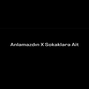 Anlamazdın X Sokaklara Ait by Weshh212