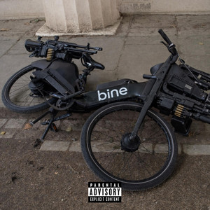 BINE BIKE