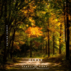Autumn Forest