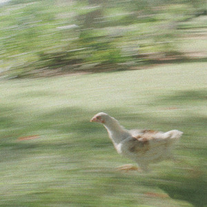 FOTO EM GRUPO - Toda esfera
