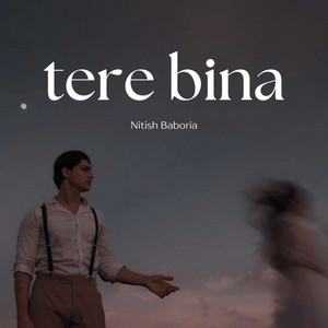Tere bina