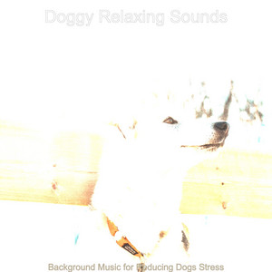 Background Music for Reducing Dogs Stress album
