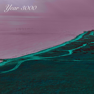 Year 3000