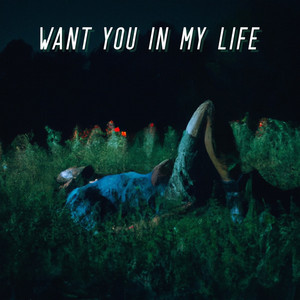 Want You in My Life by Kalan