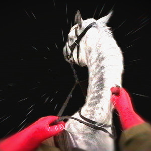 Bon Boys Will Break Your Heart - Xiu Xiu Remix