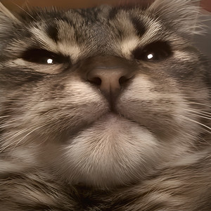 kit kit kit - Extended by mememeow