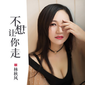 不想让你走 - DJ版 by 林秋风
