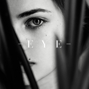 Eye by Dystrotek