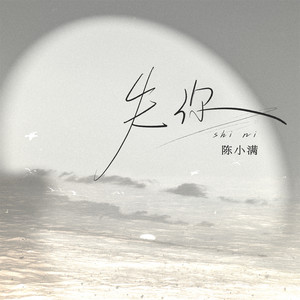 陈小满 - 失你