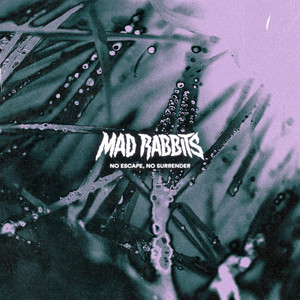 no escape, no surrender by Mad Rabbits