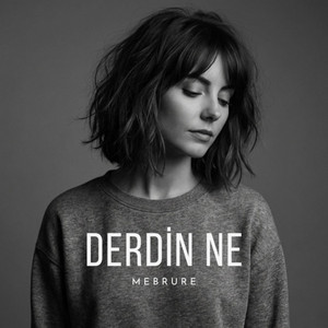 Derdin Ne by Mebrure