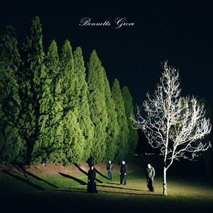 Innocence by Bennetts Grove
