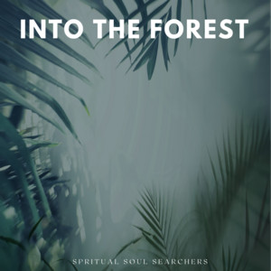 Into The Forest by Spiritual Soul Searchers