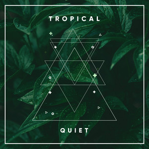 # 1 Album: Tropical Quiet album