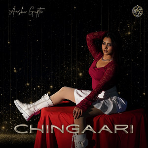 Chingaari by Anshu Gupta, Aniket Jain