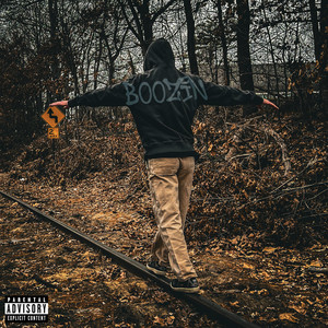 Boozin cover art