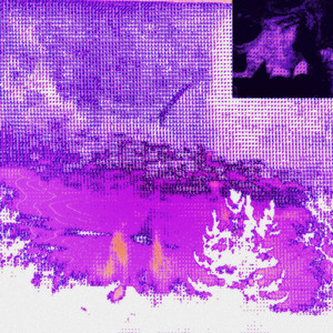 i want to feel by shinigami, Paul