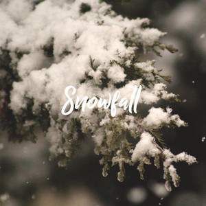 Snowfall
