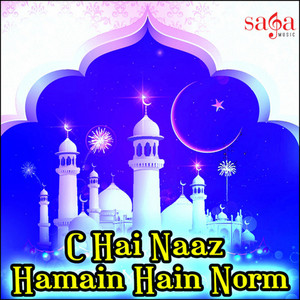 Mustafa Jane Rahmat by Owias Raza Qadri Attari