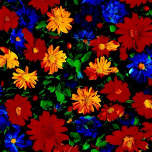 THE MESS by Borage
