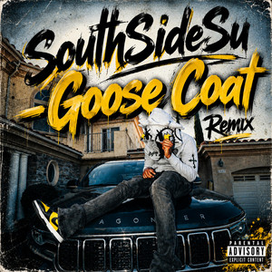 Goose Coat by Southsidesu