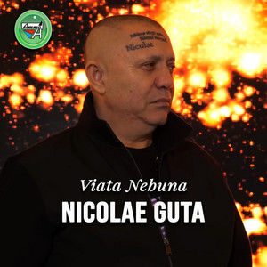 Nicolae Guță - Viata Nebuna