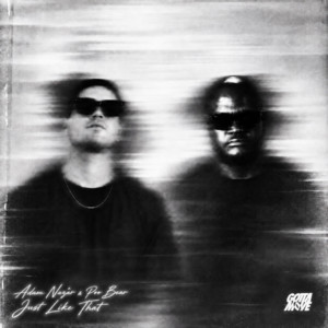 Just Like That by Adam Nazar, Poo Bear