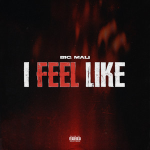 I Feel Like by Big Mali