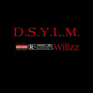Willzz - D.S.Y.L.M.