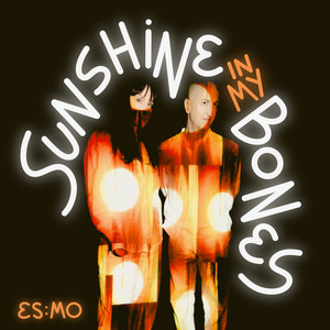 Sunshine In My Bones by ES:MO (Elizabeth Shepherd and Michael Occhipinti), Larnell Lewis