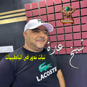 نبات ندور في الباطيمات by Cheikh Adda