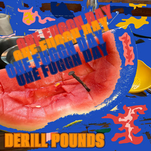 One Fuggn Day by Derill Pounds