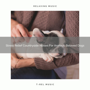 Stress Relief Countryside Noises For Anxious, Beloved Dogs album